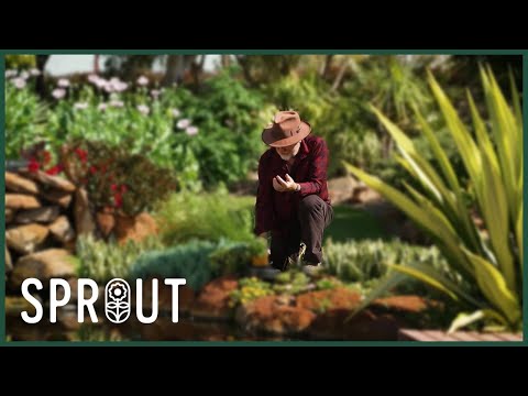 Top Gardening Tips for Healthy Citrus, Pools, and Indoor Plants