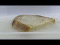 Bread molding  time lapse 4k