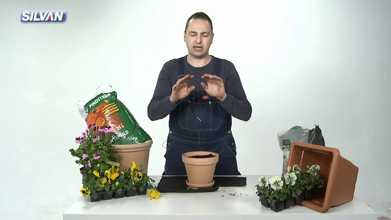 Planter i krukker youtube Altankasser silvan