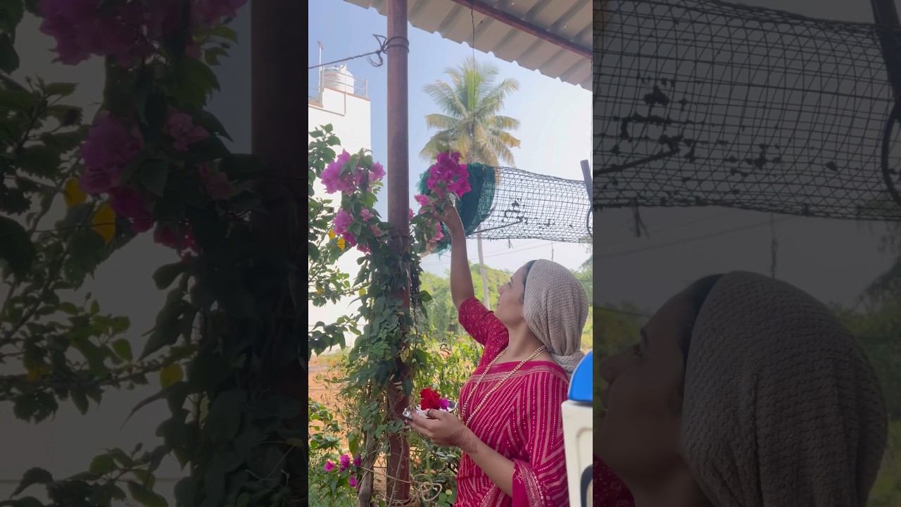 🌿Terracotta Brindavan Tulsi pot @villagedecor.in   