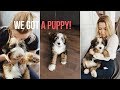 Episode 1 - Meet my new puppy!