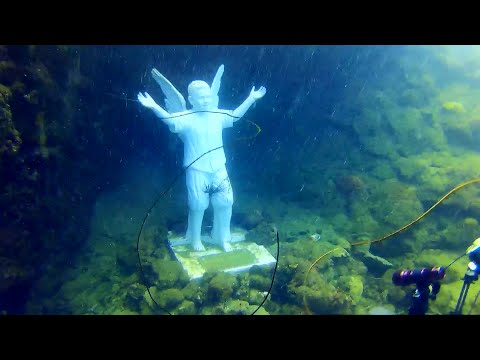 Santa Marta - Buceo El Cantil, Cueva y Angel