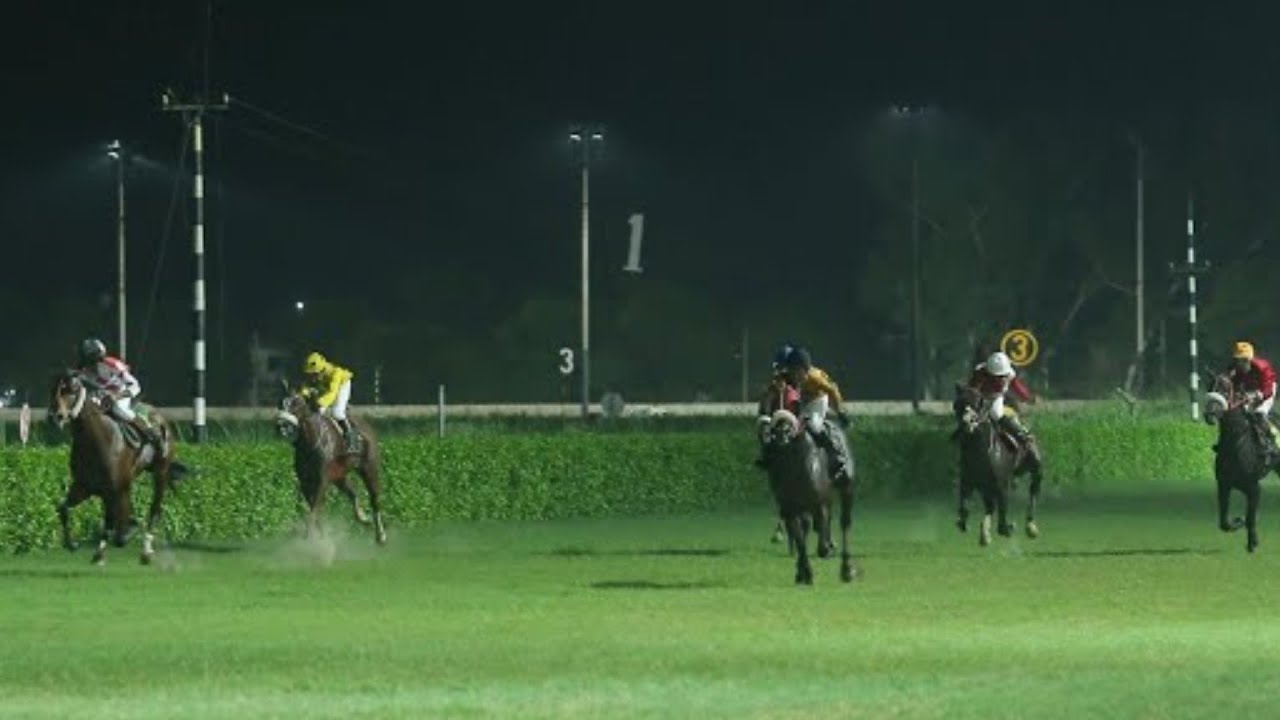 5-й забег на 1100 метров, победитель Кубка Джашана и Азади, Флэш | Под управлением Бабара Рехмана...