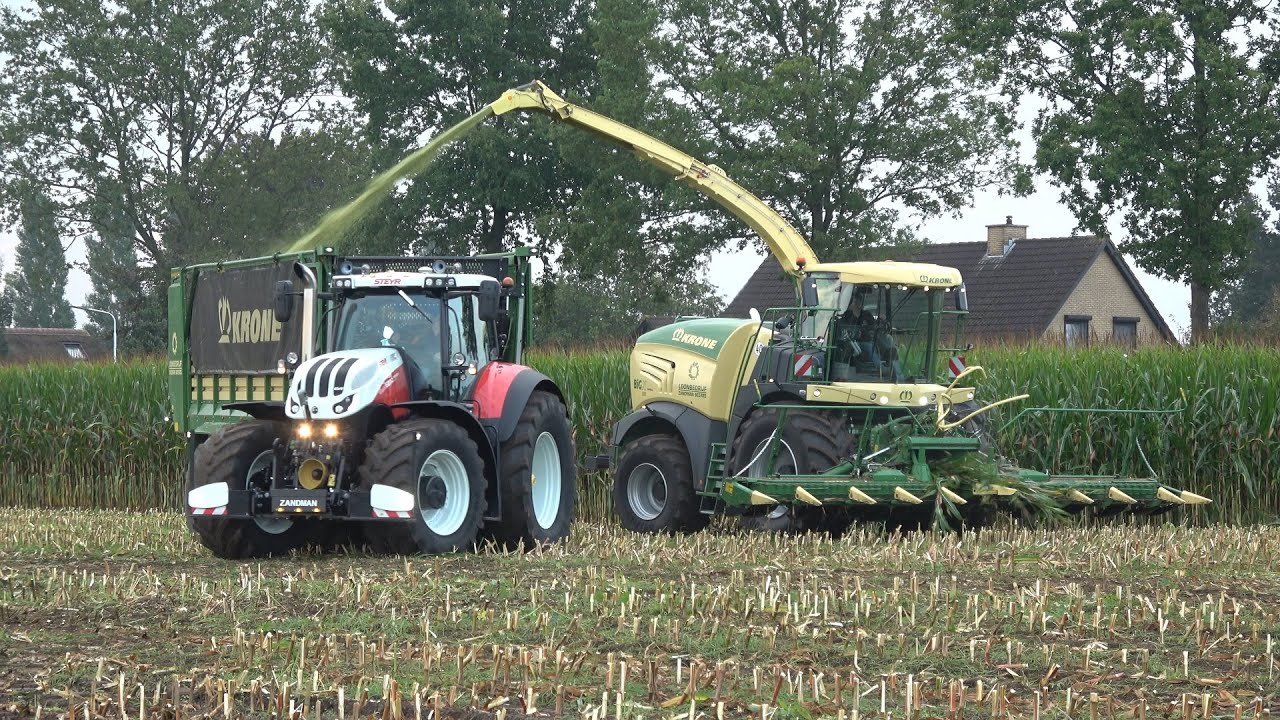 Mais hakselen door Loonbedrijf Zandman Beerze met Krone Big X 580  Case IH en Steyr trekkers 2021