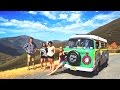 1 guy, 3 girls, 6 weeks and 10,000 miles = Road Trip in a VW Bus (2014)