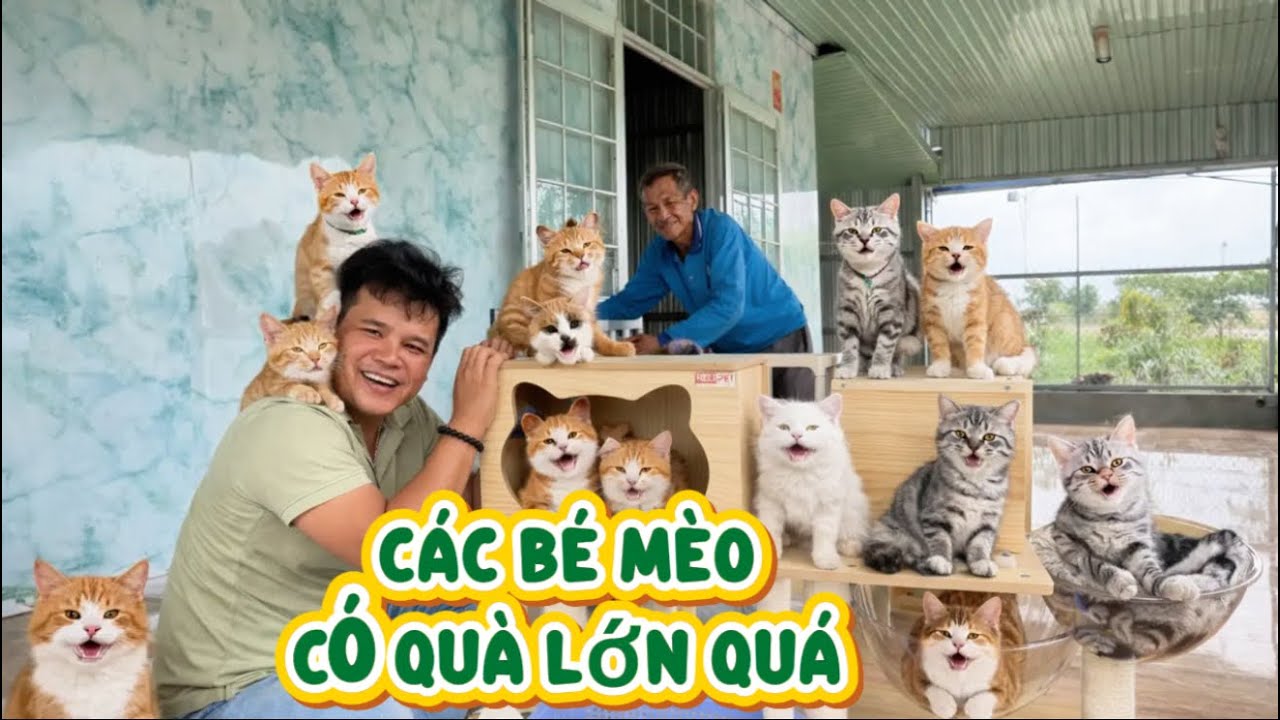 Tập 308 : Trở lại mang quà đến các bé Mèo Và gỡ một phần khó khăn giúp Chú Tấn U70 Ở Mộc Hoá 