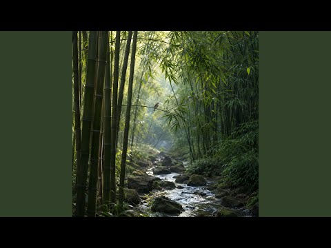 Porcelain River Devotion