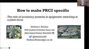 Mathias Nielsen: ""How to make PRC2 specific:The role of accessory proteins in epigenetic ..."