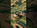 Root Bench, Designed by Yong Ju Lee