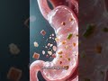 Your stomach is trying to digest itself 😳