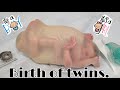 WOMB Birth of TWIN REBORN Babies| Twins Born CRYING| 2 Reborns Getting Ready... nlovewithreborns2011