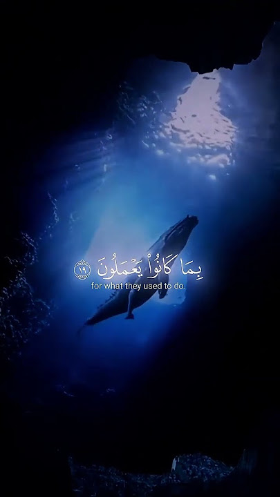 Surah As-Sajdah || Ayah 19-20 #quran #allah #shorts