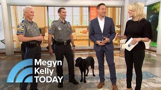 The Police Dog Who Sniffs Out Electronic Evidence To Catch Crooks | Megyn Kelly TODAY