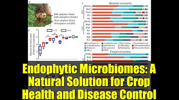 Endophytic Microbiomes: A Natural Solution for Crop Health and Disease Control