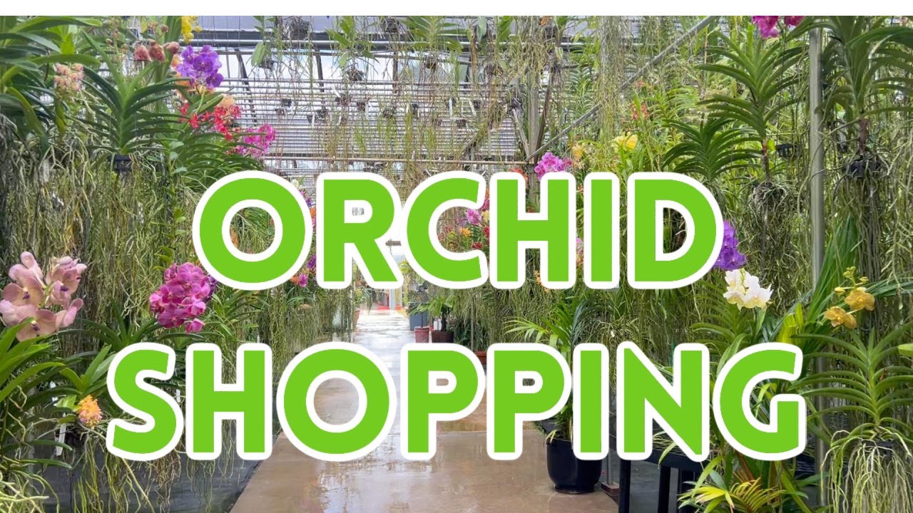 Distracted Gardener - My First Trip To Palmer Orchids & My Haul