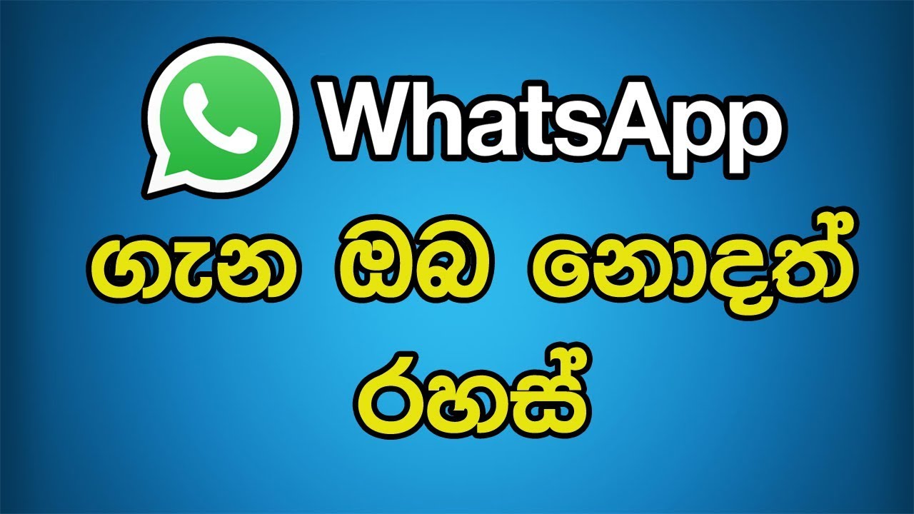 5 Cool New WhatsApp Tricks You Should Try |Android lk|