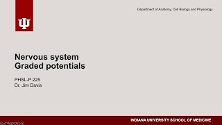 PHSL-P 225 - Nervous system - Graded potentials