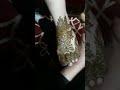 رجل منقوشة بالحنة نقش حناء الرجلين نقش الحناء على الرجل 