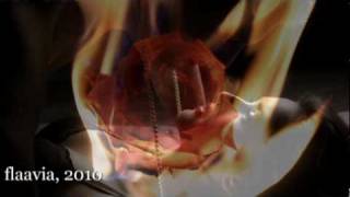 Buy me a rose - Kenny Rogers & Alison Krauss