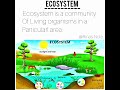What is ecosystem ll #ecosystem #environment  #short