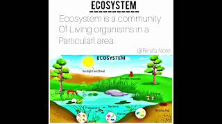 What is ecosystem ll #ecosystem #environment  #short
