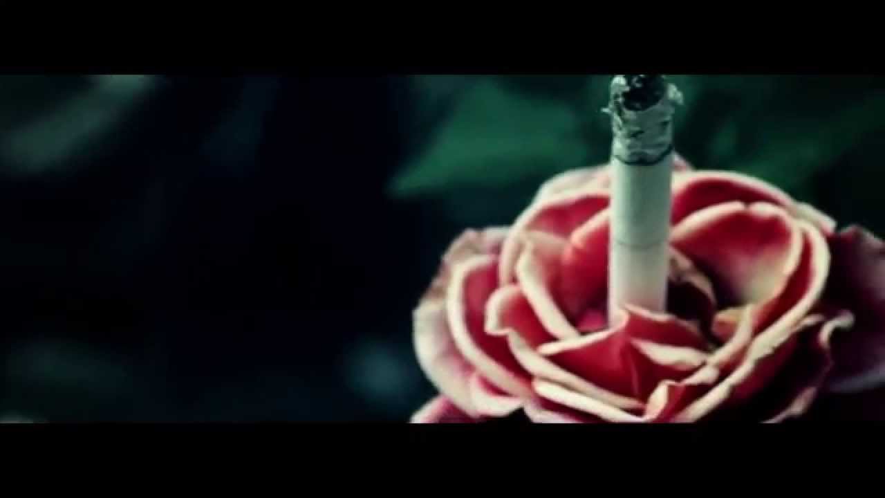 Watch SINOPTIK - Bone House ( Dead Weather ) on YouTube Watch SINOPTIK - Bone House ( Dead Weather ) on YouTube