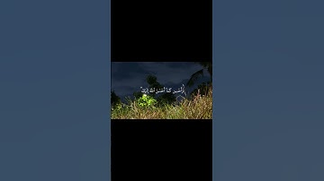 سورة القصص القارئ عبد البديع غيلان #quran #قرآن #اكسبلور #لايك #اكتب_شي_تؤجر_عليه #قران_كريم