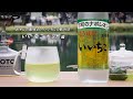おやじの美味しいいいちこ飲み方 【いい茶こホット編】