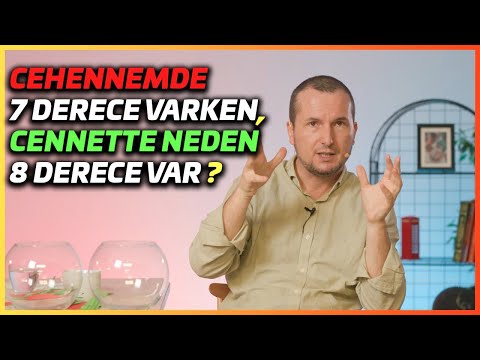 Cehennemde 7 derece varken, neden Cennette 8 derece var? / Kerem Önder