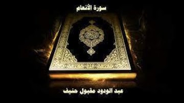 سورة الانعام  الشيخ عبد الودود حنيف