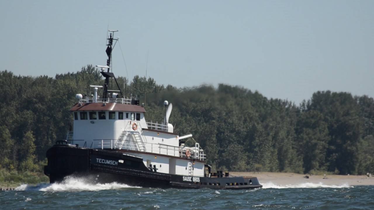 Blackberry Picking on Sauvie Island! (Day 