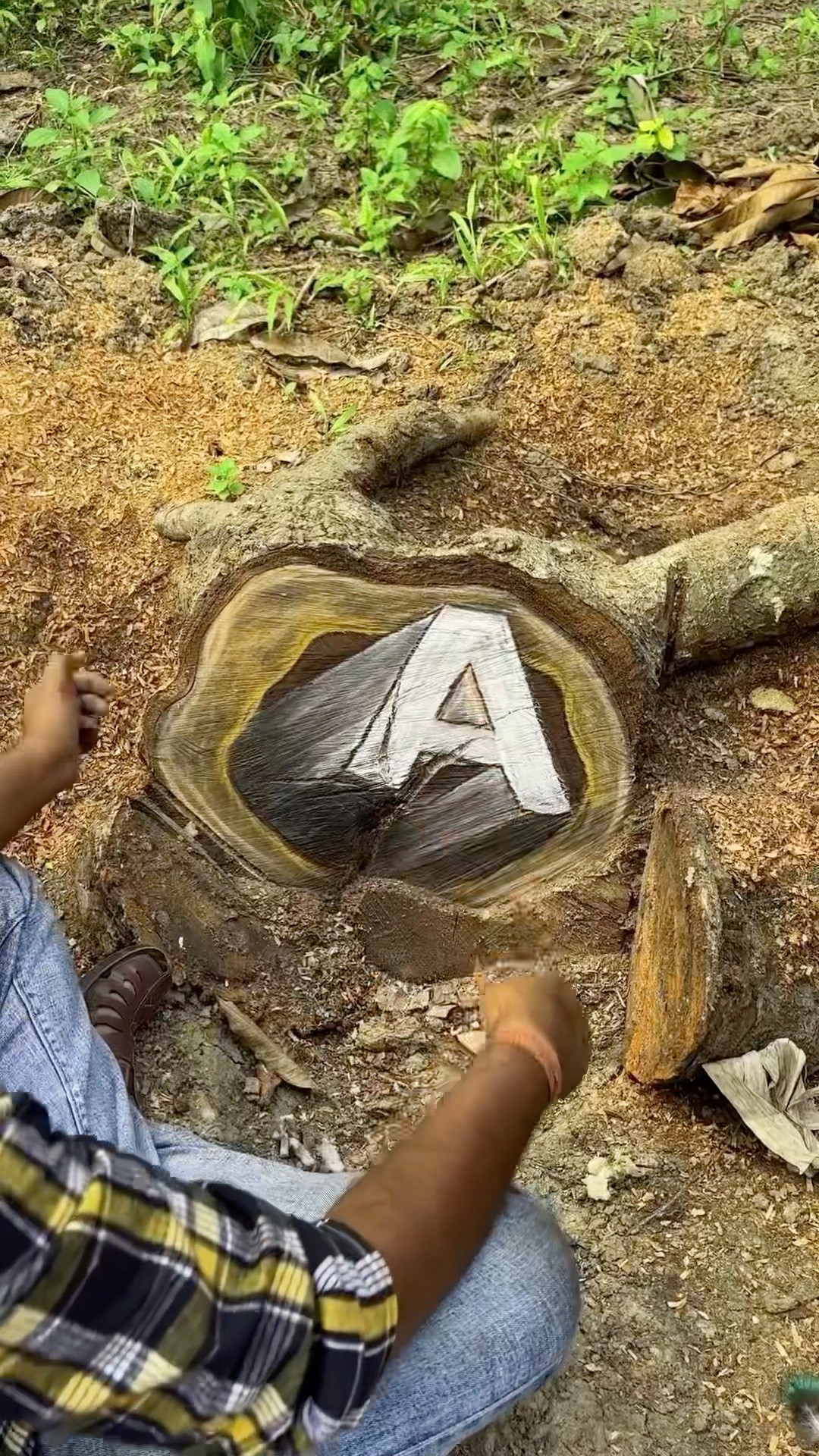 3D ‘A’ on a Tree Stump ??  #3D #shorts #illusion