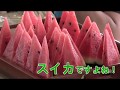 スイカ出発式