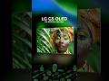 The LG G5 OLED is brighter than any OLED I’ve seen. Africa Edition
