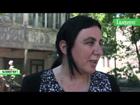 ძაღლების თავშესაფარი ზუგდიდში