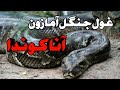 مار آناکوندا غول خاموش آمازون 