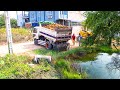 Start a New Project !! Using Dump Truck 5ton With Bulldozer Komatsu D31P Pushing Soil Into Flooded
