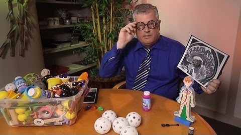 Magnetizing Cells for Tracking | Science: Out of the Box