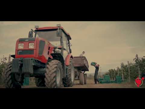 Winery Khareba • მეღვინეობა ხარება