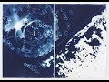 CAMERALESS/LENSLESS: Vanessa Albury's Cyanotypes