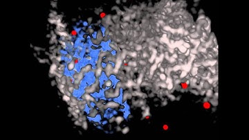 CytoViva 3D Enhanced Darkfield Imaging: Unlabeled Au Nanoparticles In a Cell