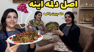 ولاگ روز مرگی  با الهه دلمه پختیم طرز تهیه  دلمه اصل آذربایجان