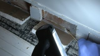 Part 2: Protect Yourself During A Mold Inspection