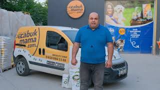 Genç Ve Yetikin Köpeklerde Eklem Sağlığı İçin Önemli Bilgiler