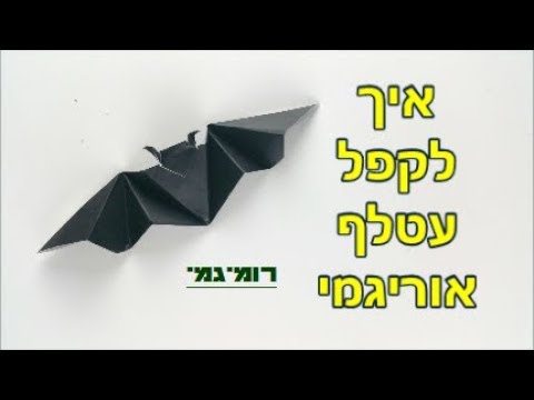 וִידֵאוֹ: איך מכינים עטלף וסיסקין