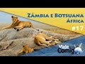 Da Zâmbia ao Botsuana | ÁFRICA | SÉRIE Viaje Comigo