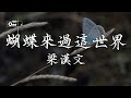 梁漢文 蝴蝶來過這世界 我終於能走出 你走的那一夜 也許你能給的珍貴 就只是那個季節 動態歌詞 高音質 经典老歌 梁漢文 蝴蝶來過這世界 我終於能走出 你走的那一夜 也許你能給的珍貴 就只是那個季節 動態歌詞 高音質 经典老歌