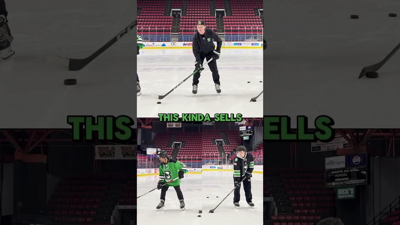 Title: Pro vs Experienced vs Beginner: Stick Handling