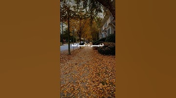 تلاوه رائعه للشيخ محمد صديق المنشاوي سوره الأنفال🧡 #قرآن #قران_كريم