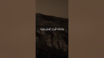 سعد الغامدي | وإذا جاءك الذين يؤمنون بآياتنا فقل سلام عليكم كتب ربكم على نفسه الرحمة ..